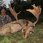 Mike and Vicky's fallow buck